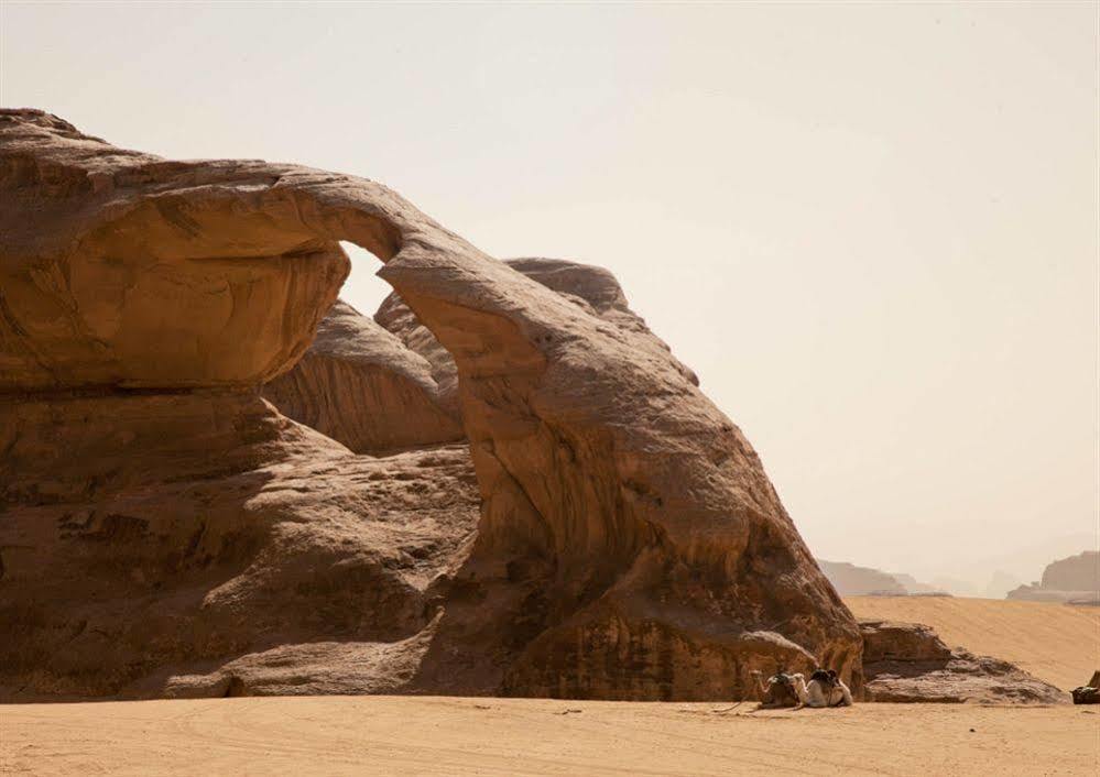 Wadi Rum Caravan Camp מראה חיצוני תמונה